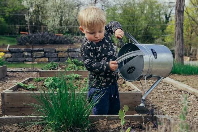 Gardening for Children: What Can You Offer Them?