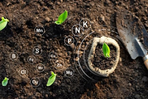 How to Add Nutrients to Soil: The Importance of Healthy Soil for the Plants