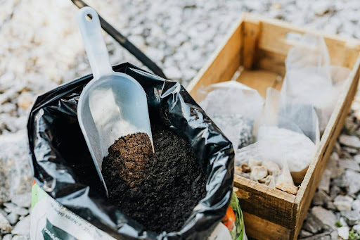 How to Test Your Garden Soil At Home with DIY Kits