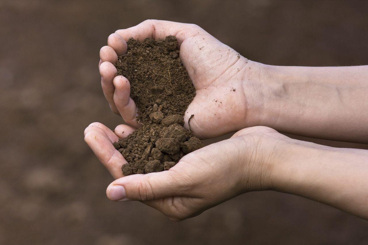What is Loamy Sand for Garden, Different Than Top Soil and How To Make it